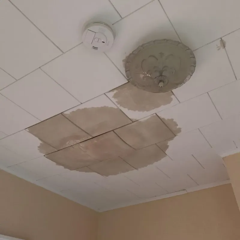 Ceiling Water Damage Repair in Caledonia County, VT