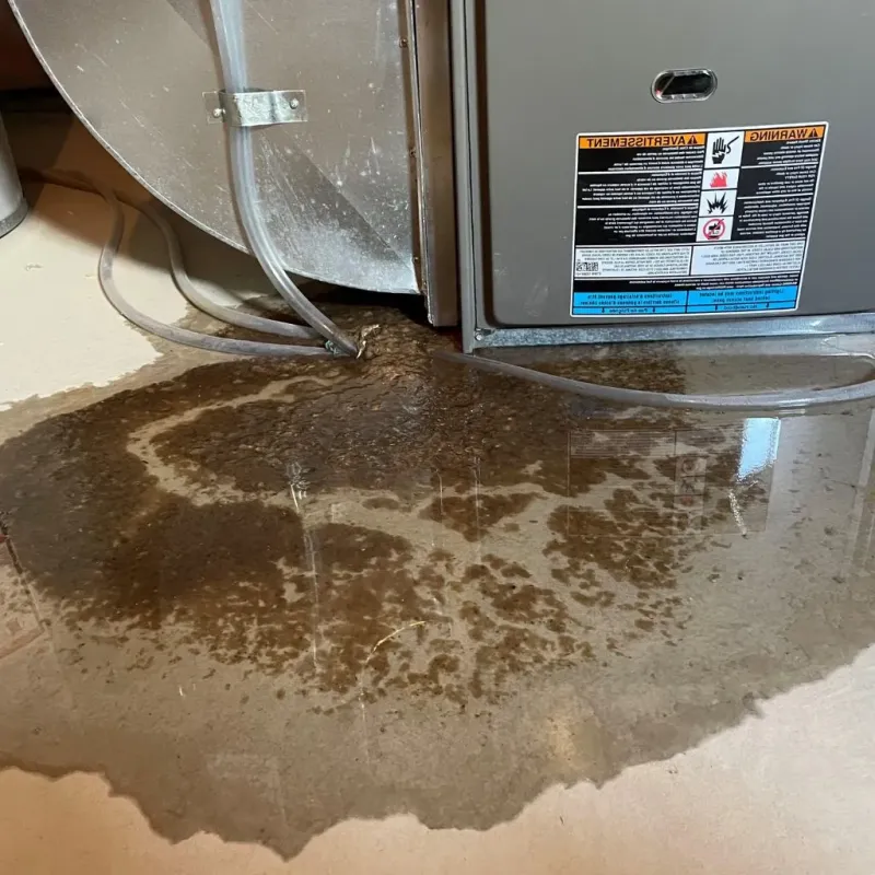 Pipe Burst and Leak Restoration in Caledonia County, VT
